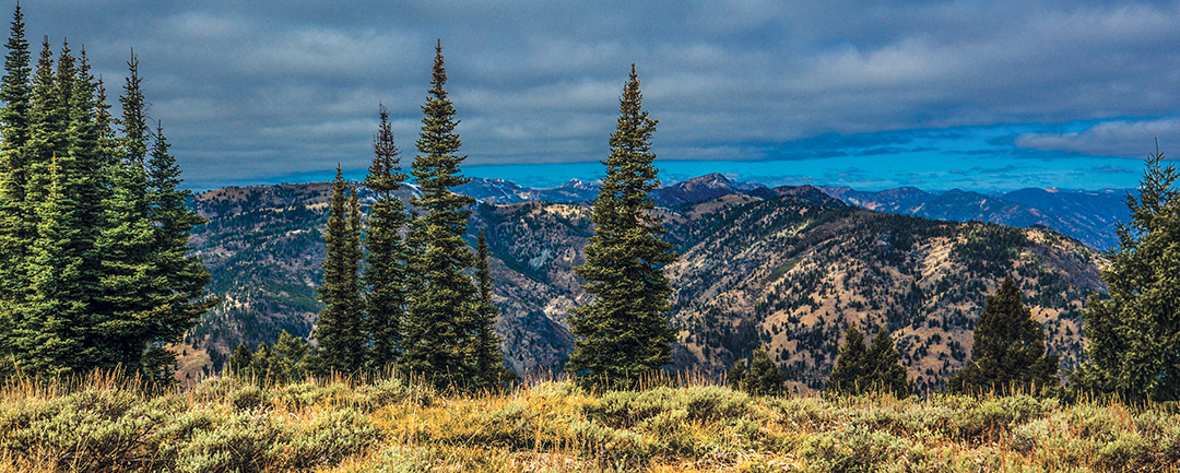 Wilderness wapiti still bugle in the fall, and every hunter dreams of pursuing them. Idaho is home to the largest designated wilderness area in the Lower 48 and has a healthy elk population.